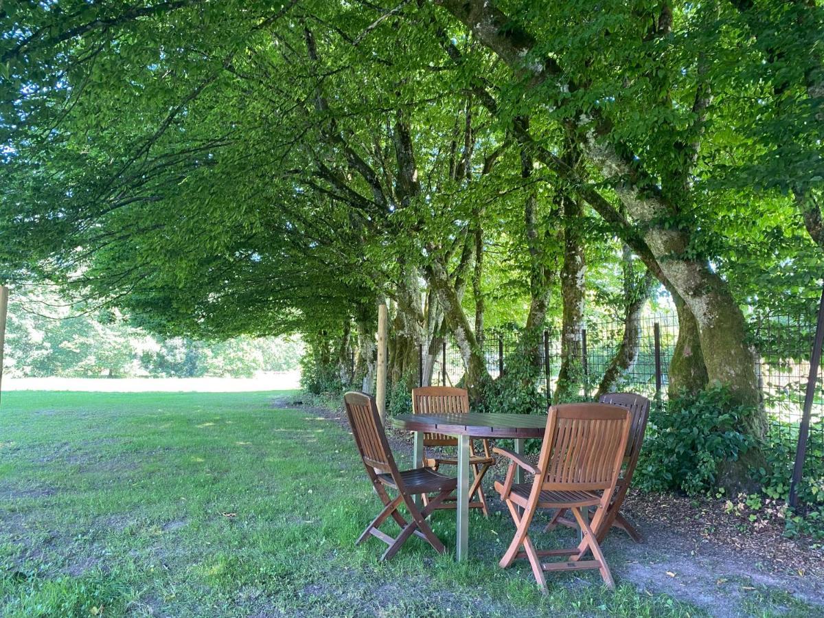 Le Heron - Gite De Charme Cloture, Acces A La Riviere - 6 Ou 10 Personnes Fauvillers Exterior photo
